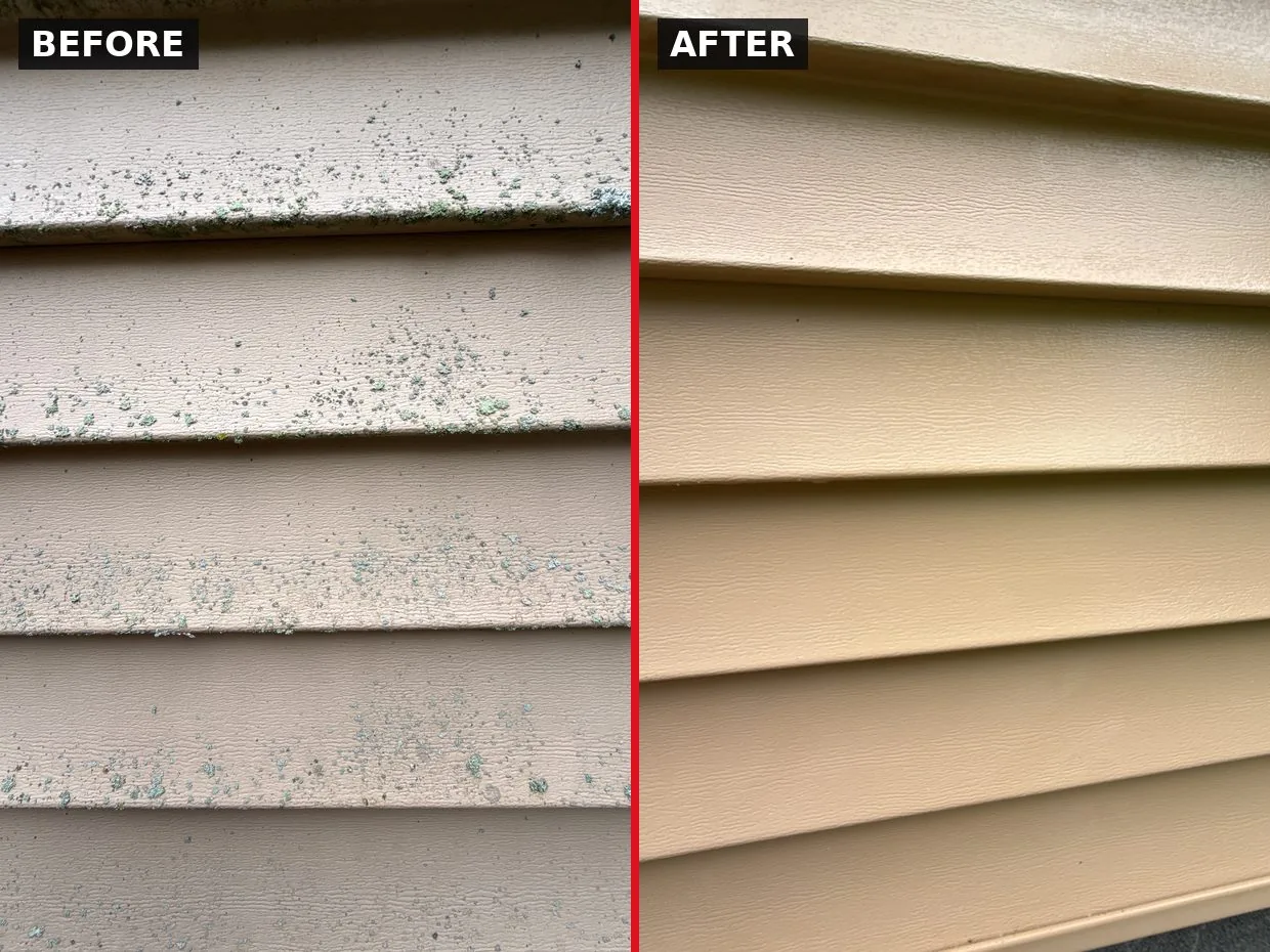 Algae & Lichen Removal — Vinton, VA before and after by Pro-Shine Softwash