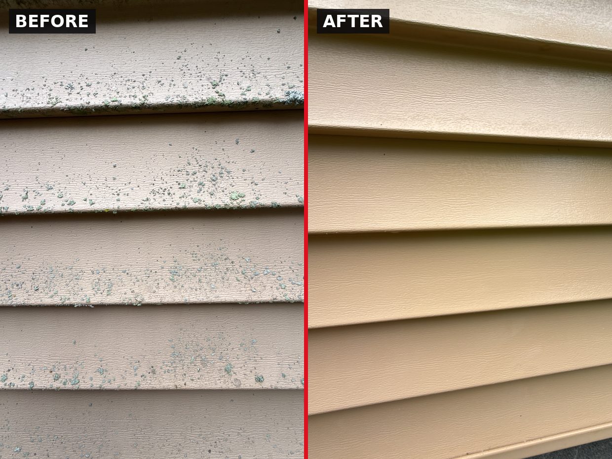 Algae & Lichen Removal — Vinton, VA before and after by Pro-Shine Softwash