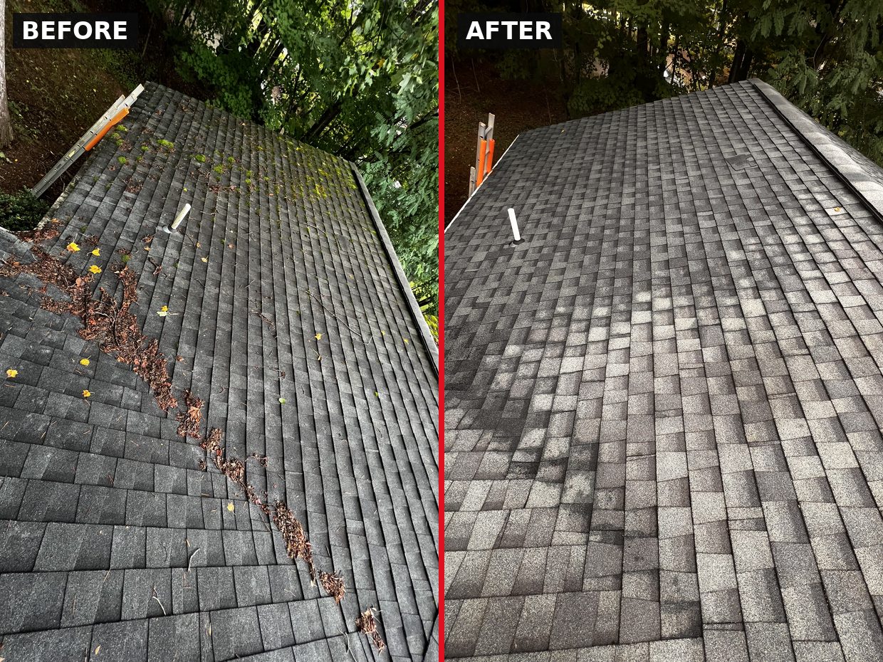 Roof Moss & Algae Removal in Huddleston, VA by Pro-Shine Softwash
