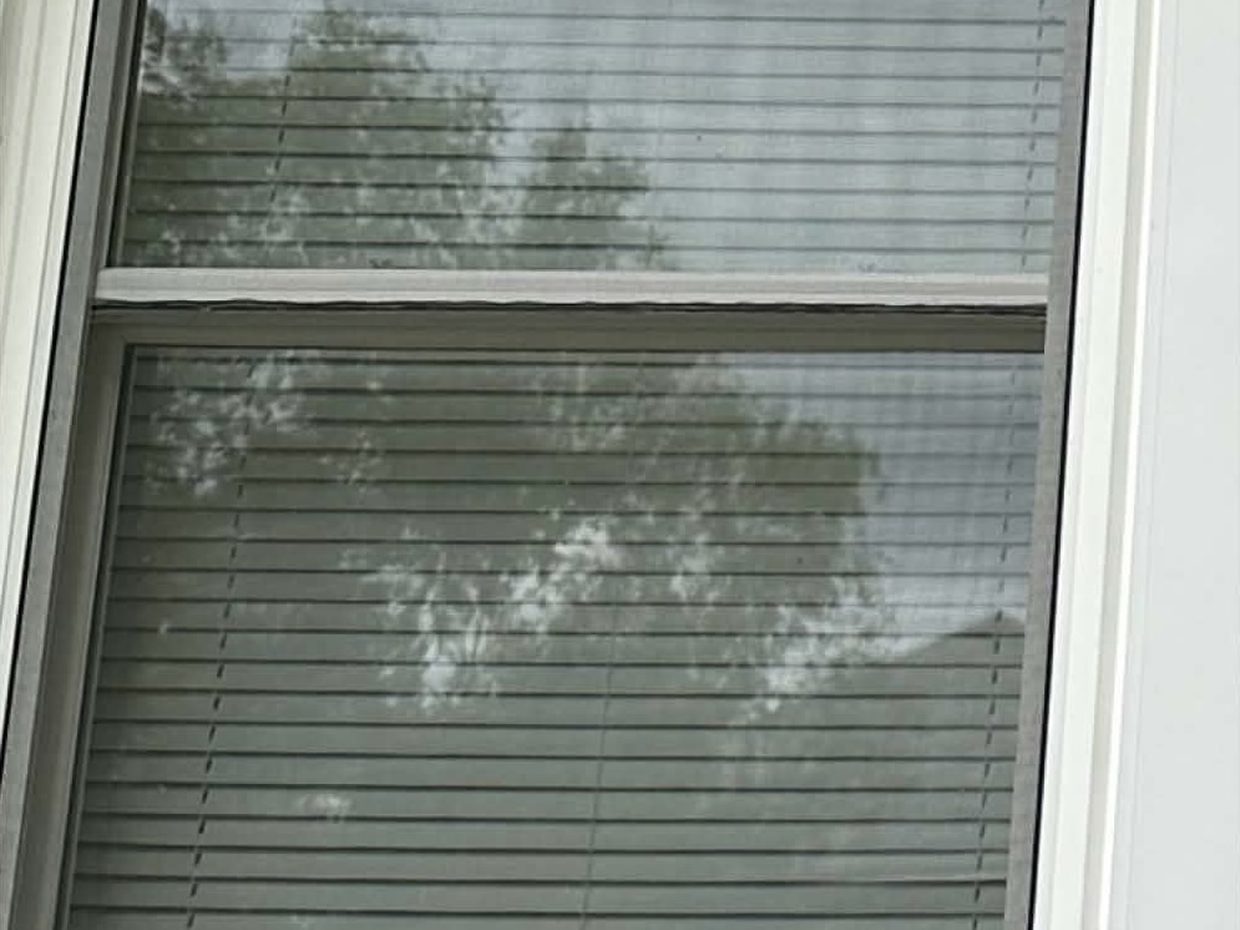 Exterior Window Cleaning in Vinton, VA by Pro-Shine Softwash