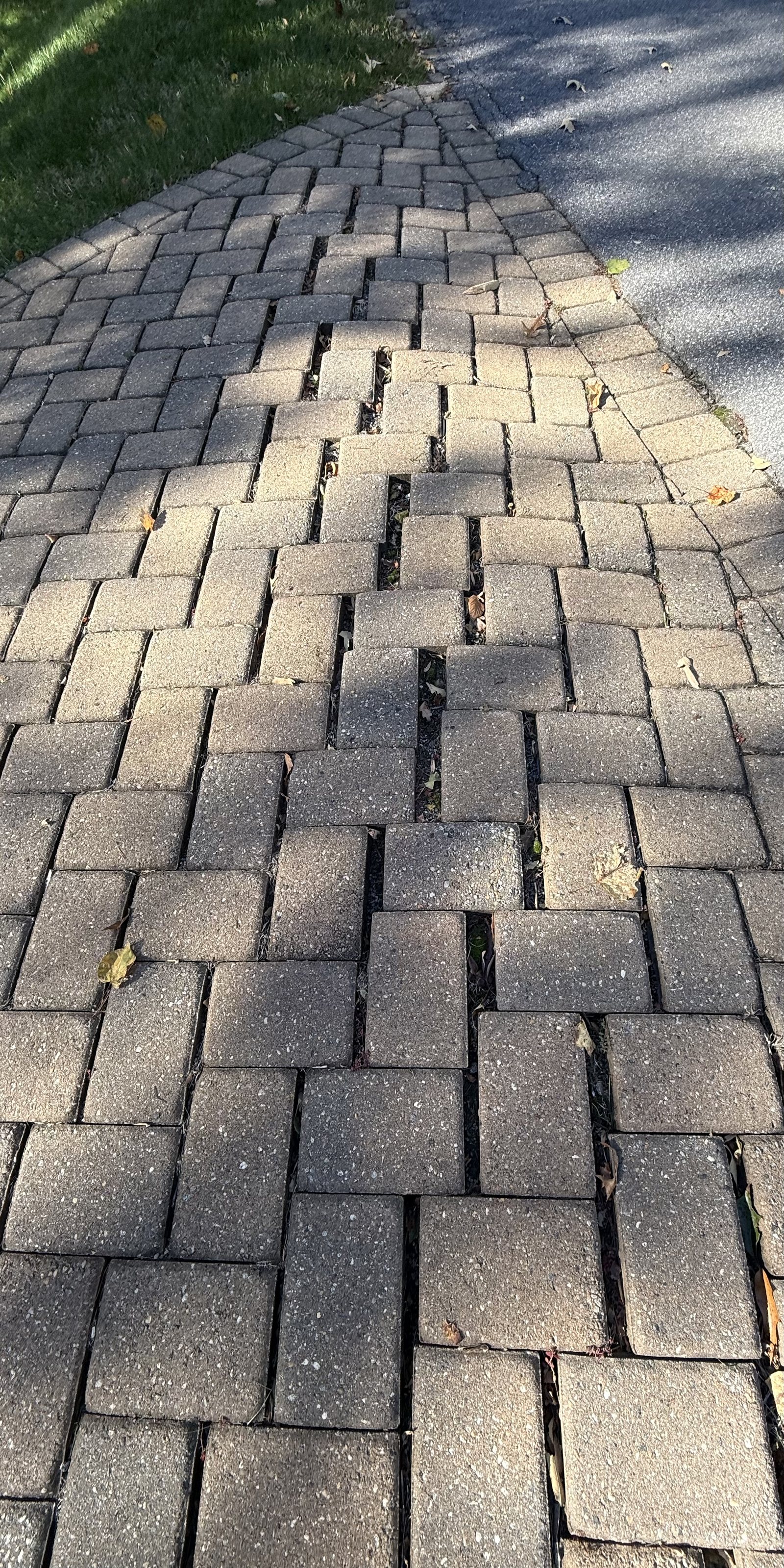 Driveway pavers pushed out of alignment after twenty years of vehicle traffic emptied the joint sand