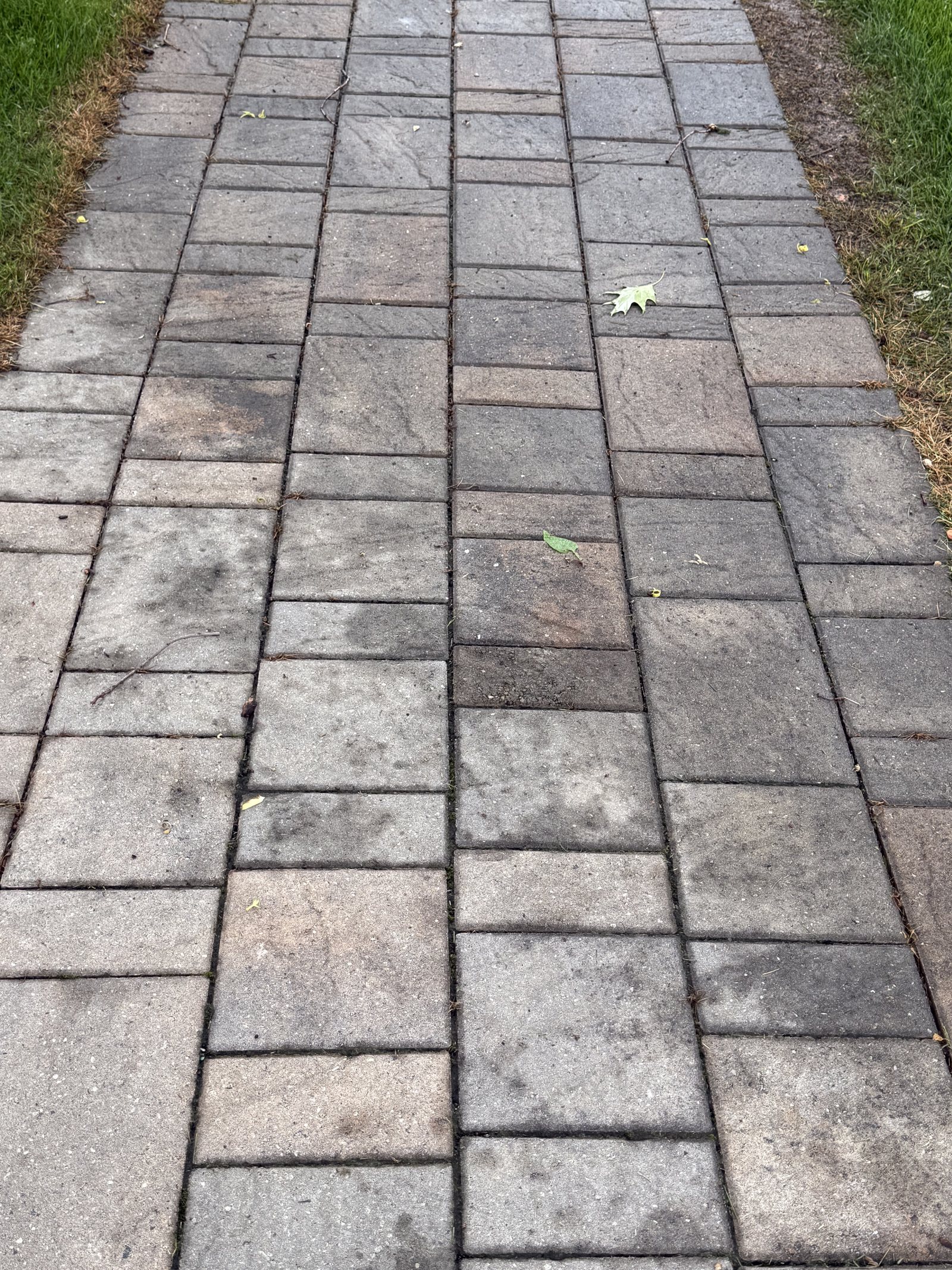 Water poured on unsealed pavers, soaking in and darkening the surface