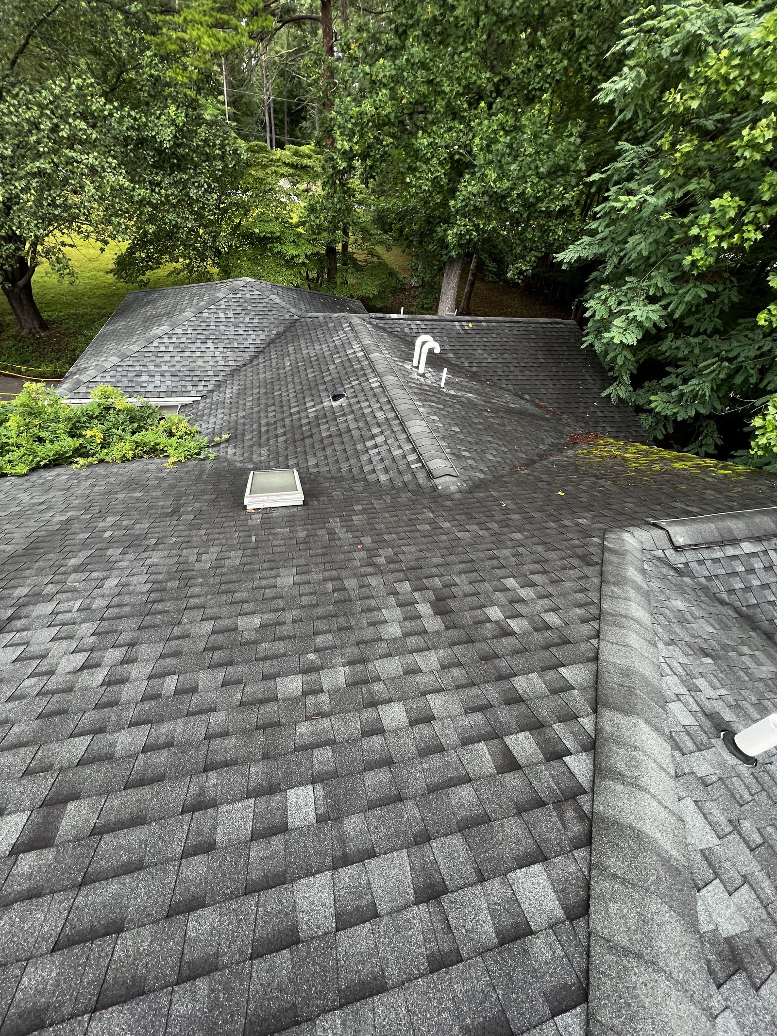 Whole roof before soft washing in Union Hall, VA, showing darkened shingles and moss along the shaded edge