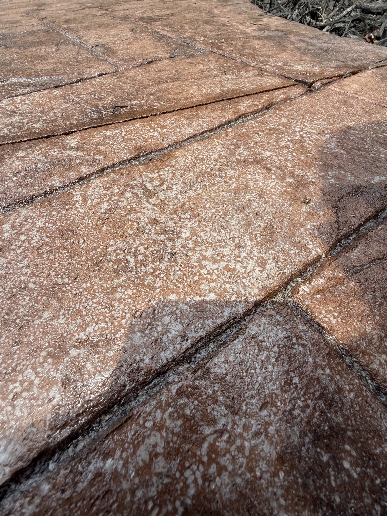 White blistering and speckling across a failed sealer coat on stamped concrete