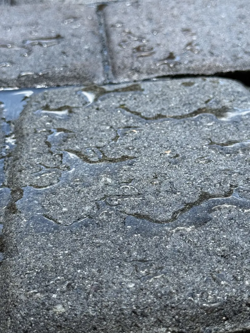 Water beading on freshly sealed pavers in Rocky Mount, VA