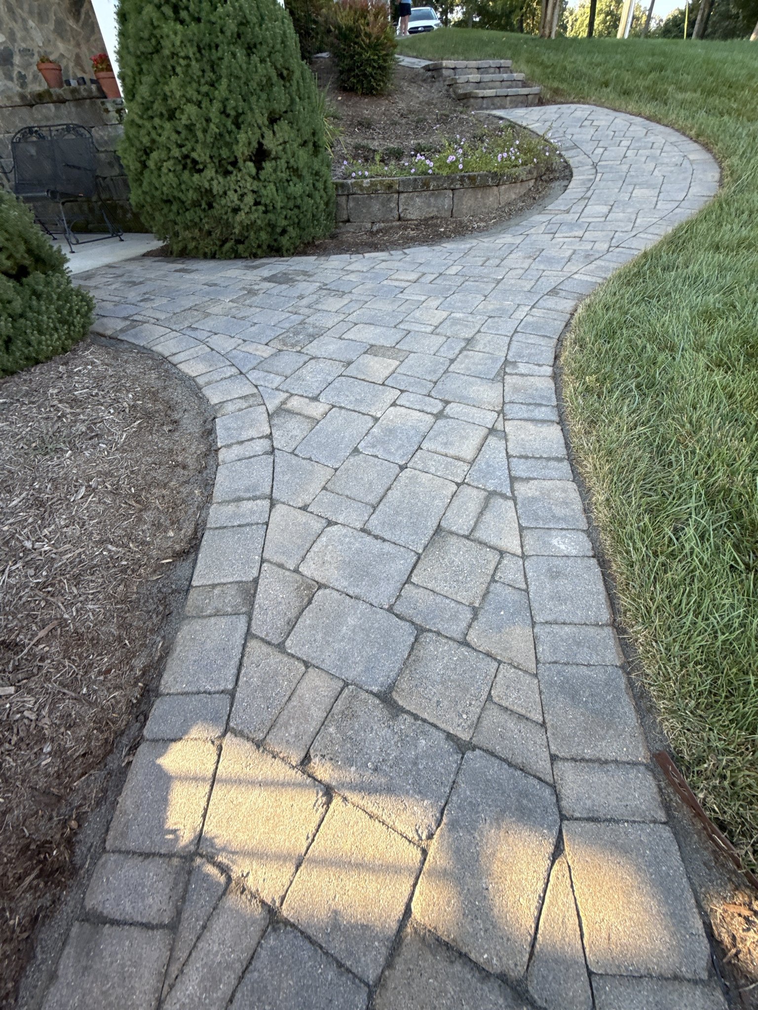 Restored paver walkway winding past the evergreens toward the upper steps