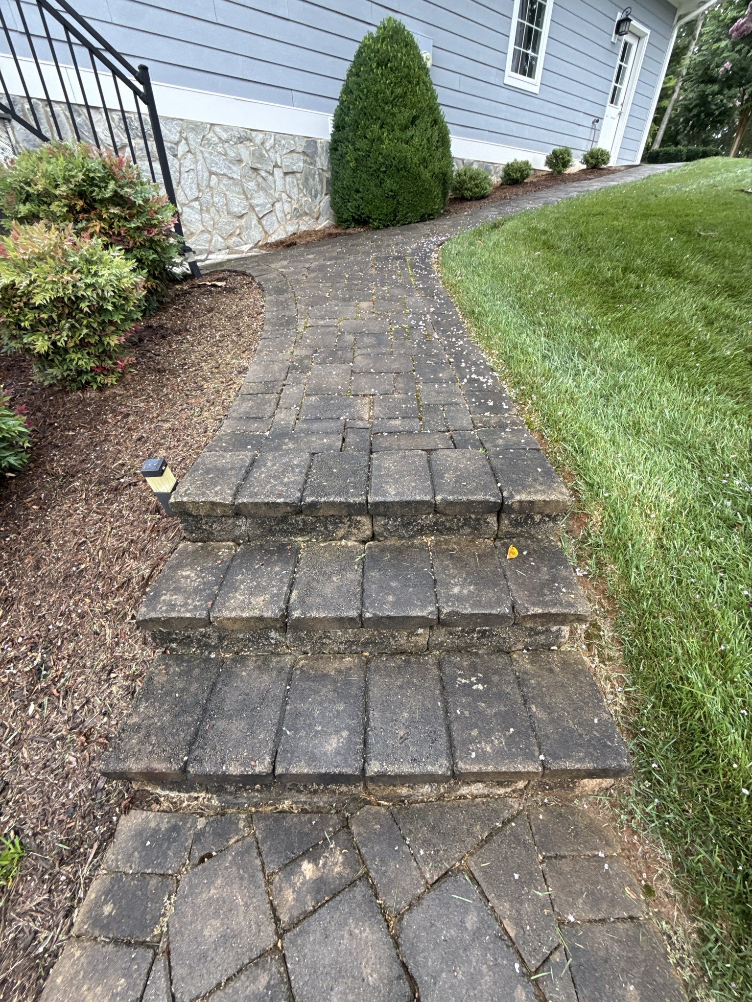 Paver steps covered in mold and algae before restoration in Huddleston, VA