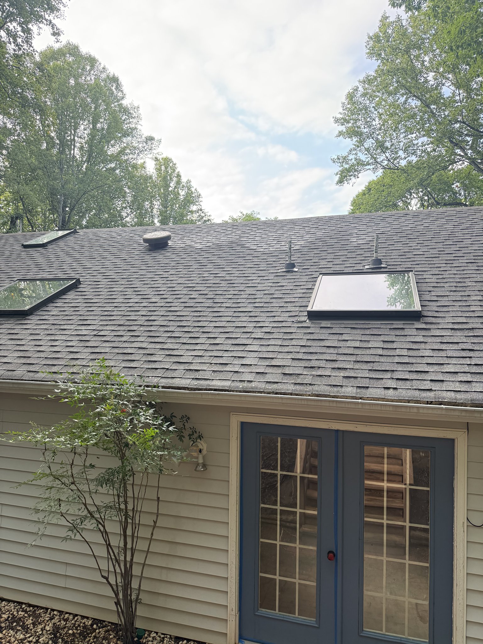 Clean roof slope with clear skylights after moss and algae removal