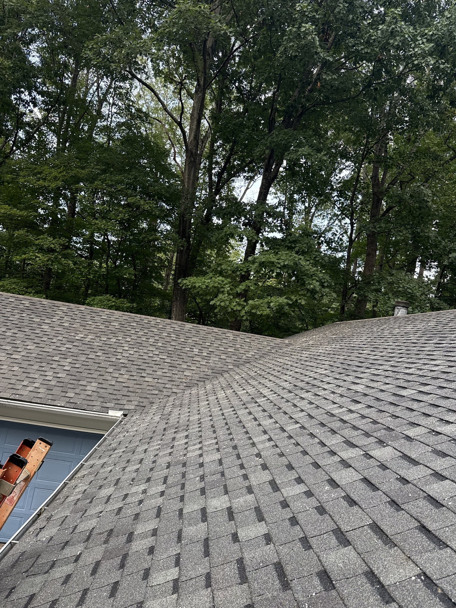 Clean ridge lines where heavy lichen was removed from the roof