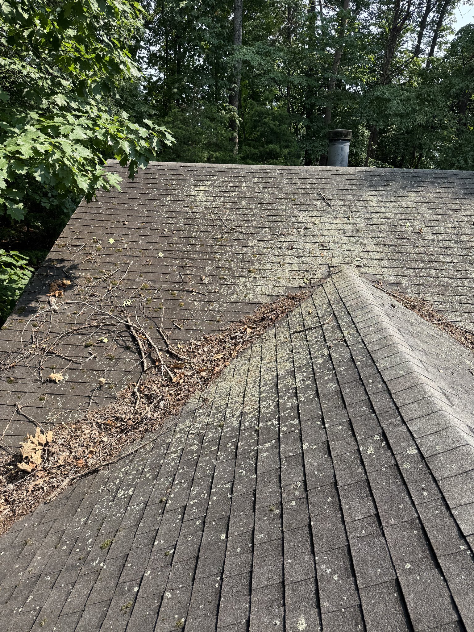 Lichen and heavy debris covering roof slopes before cleaning in the Eastlake area of Moneta, VA