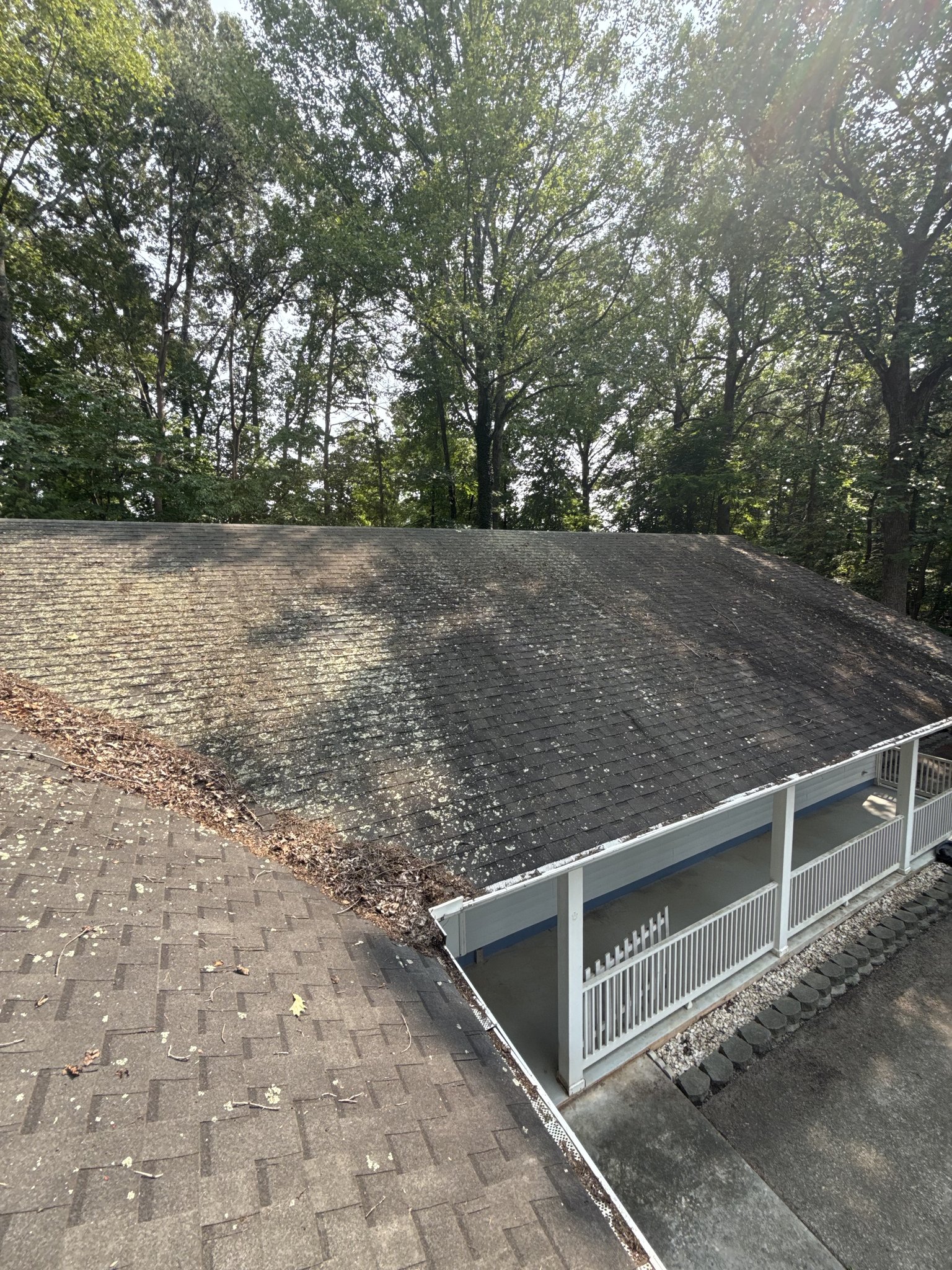 Algae and lichen covered roof over the front porch before softwash cleaning