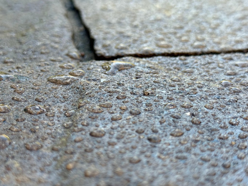 paver sealing in Moneta, VA
paver restoration in Moneta, VA
paver sealing in Roanoke, VA