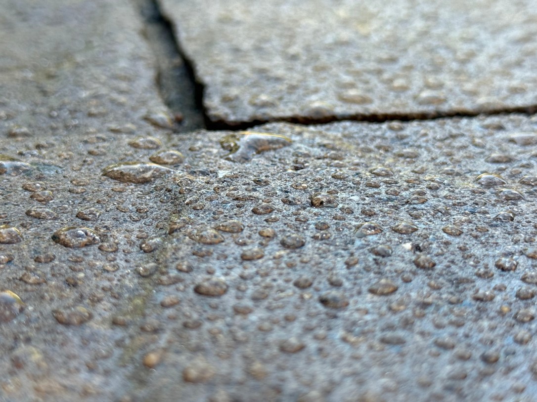 paver sealing in Moneta, VA paver restoration in Moneta, VA paver sealing in Roanoke, VA