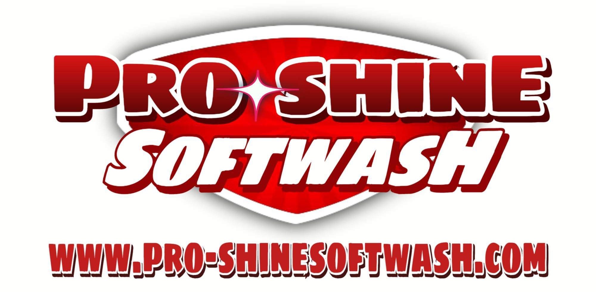Professional Softwash & Exterior Cleaning in Moneta, VA